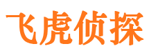 克山市侦探